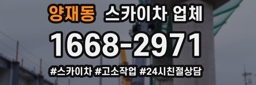 양재동 스카이차 업체