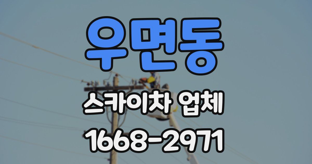 우면동 스카이차 업체