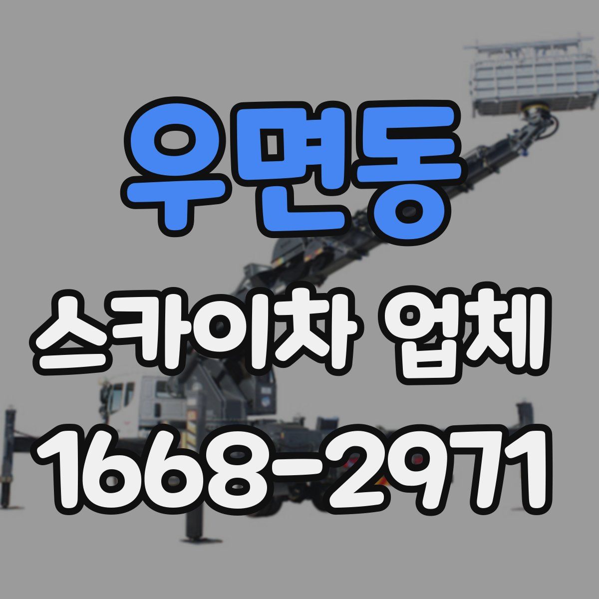 우면동 스카이차 업체