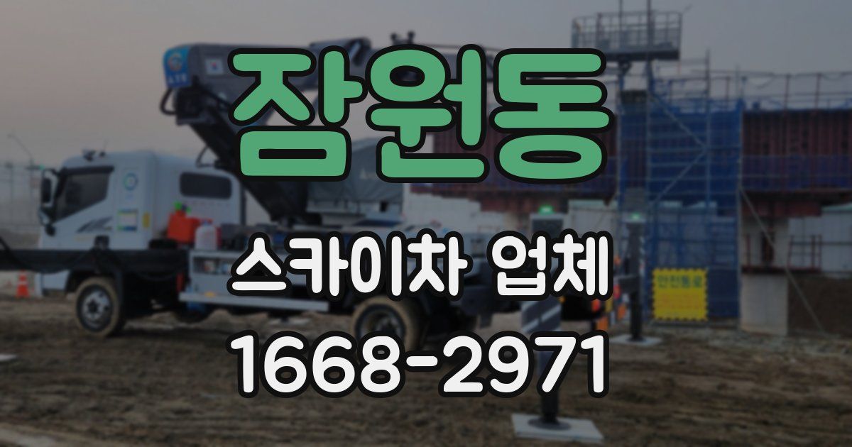 잠원동 스카이차 업체
