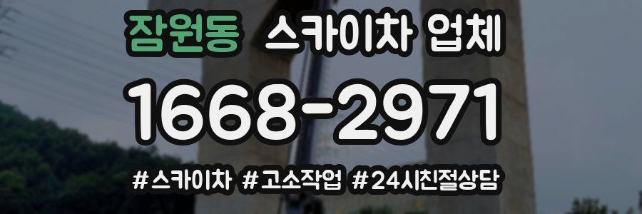 잠원동 스카이차 업체