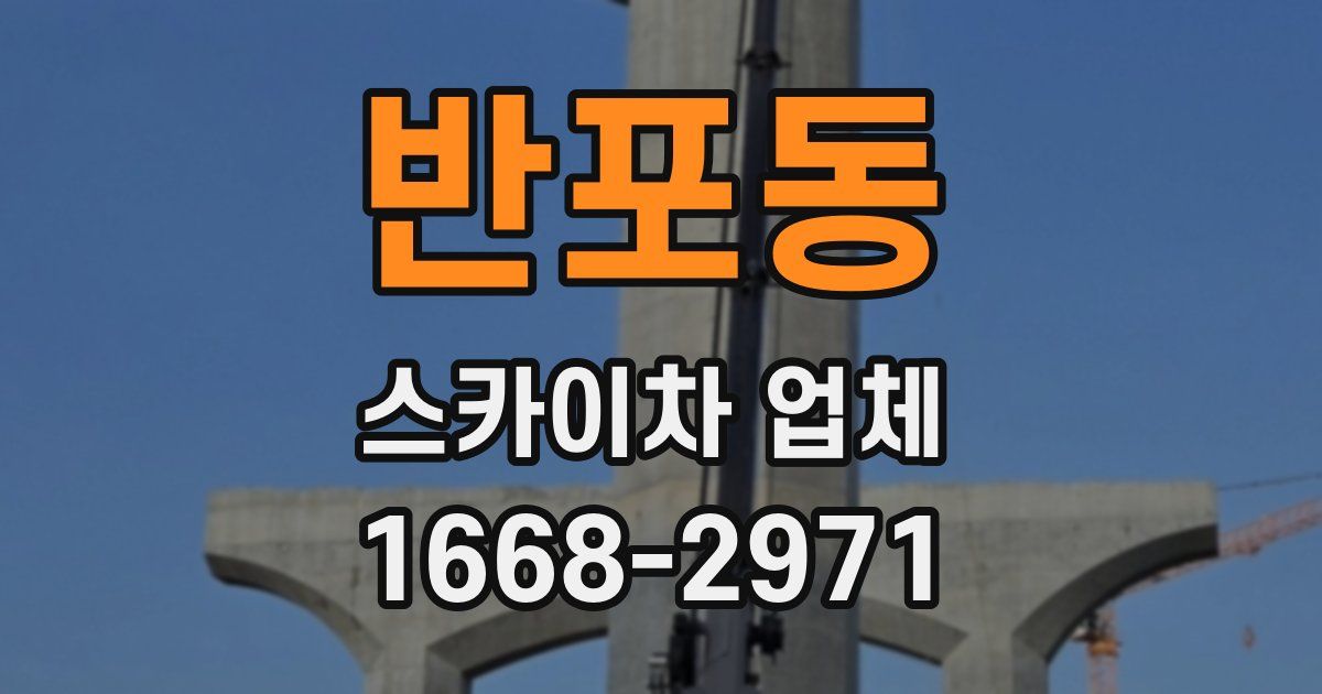 반포동 스카이차 업체