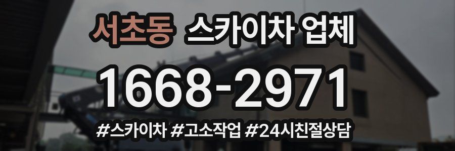 서초동 스카이차 업체