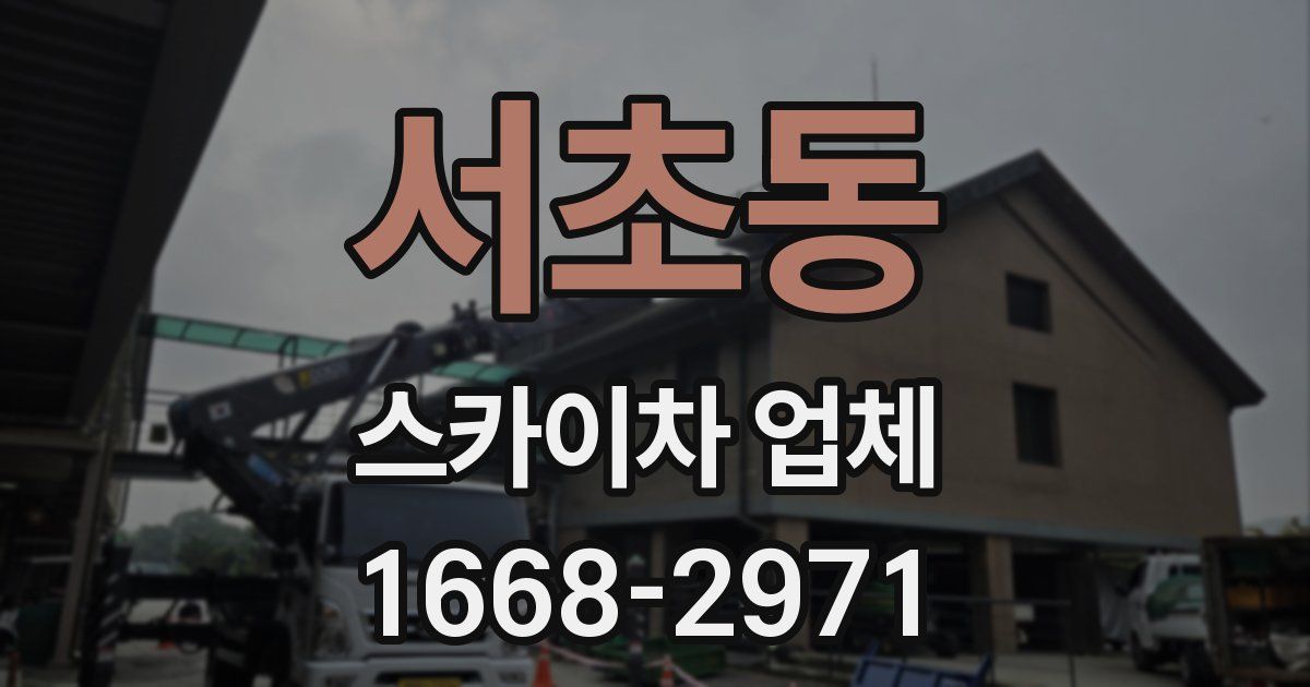 서초동 스카이차 업체
