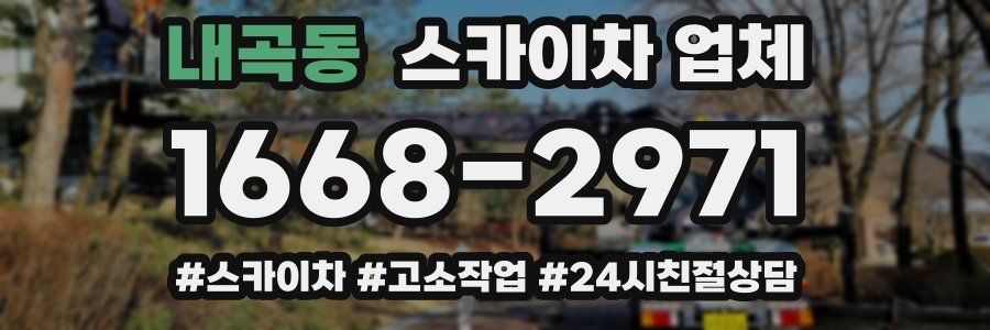 내곡동 스카이차 업체