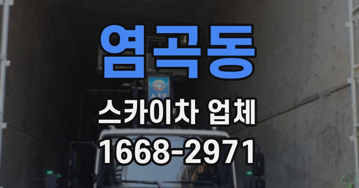 염곡동 스카이차 업체