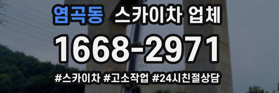 염곡동 스카이차 업체