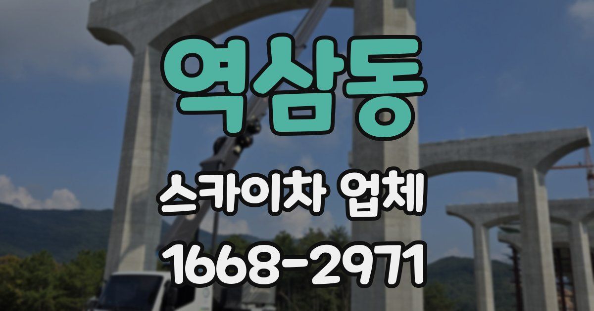 역삼동 스카이차 업체