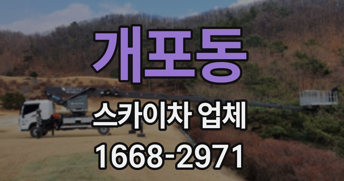 개포동 스카이차 업체