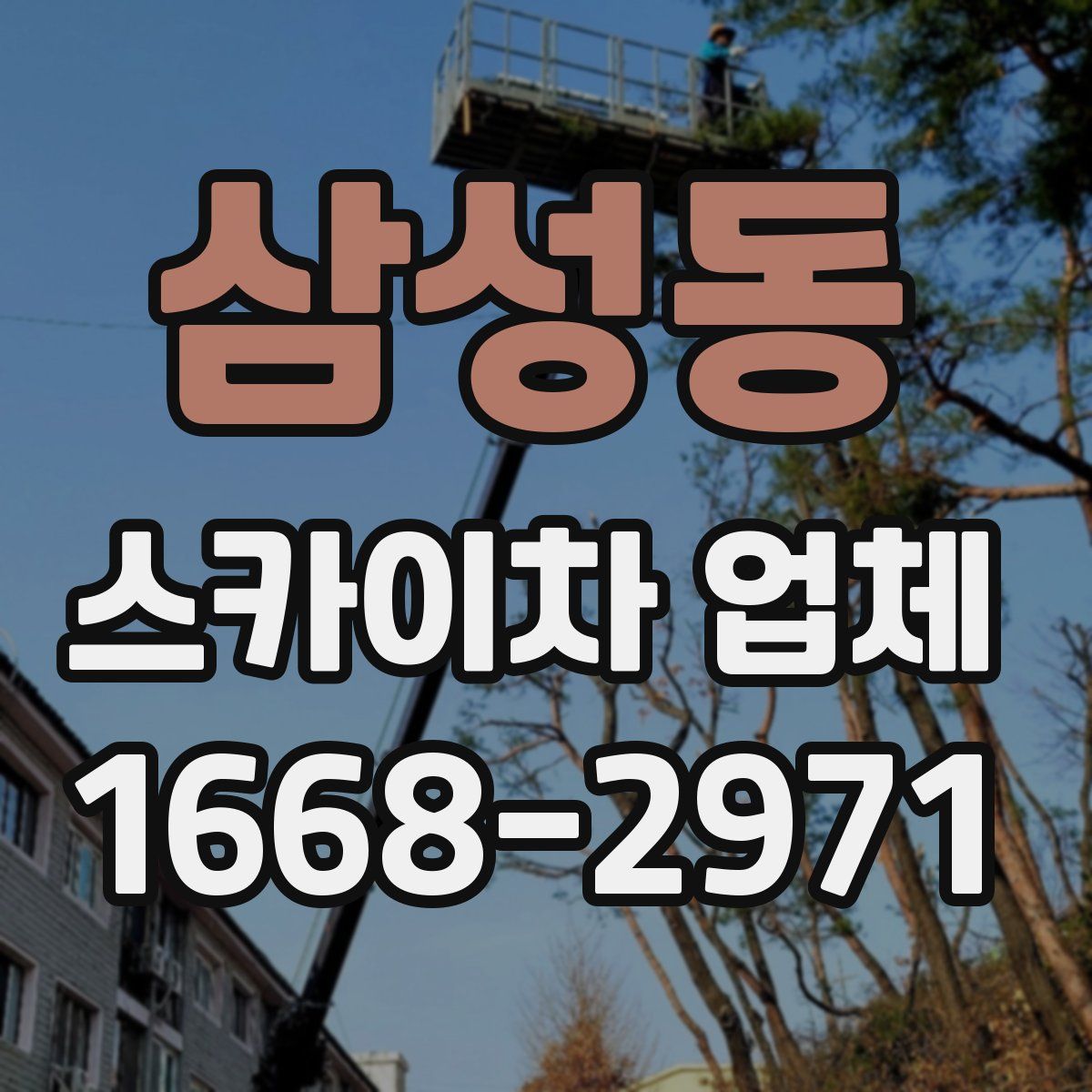 삼성동 스카이차 업체