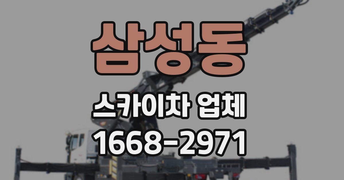 삼성동 스카이차 업체