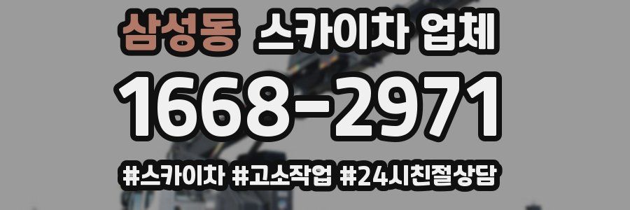 삼성동 스카이차 업체