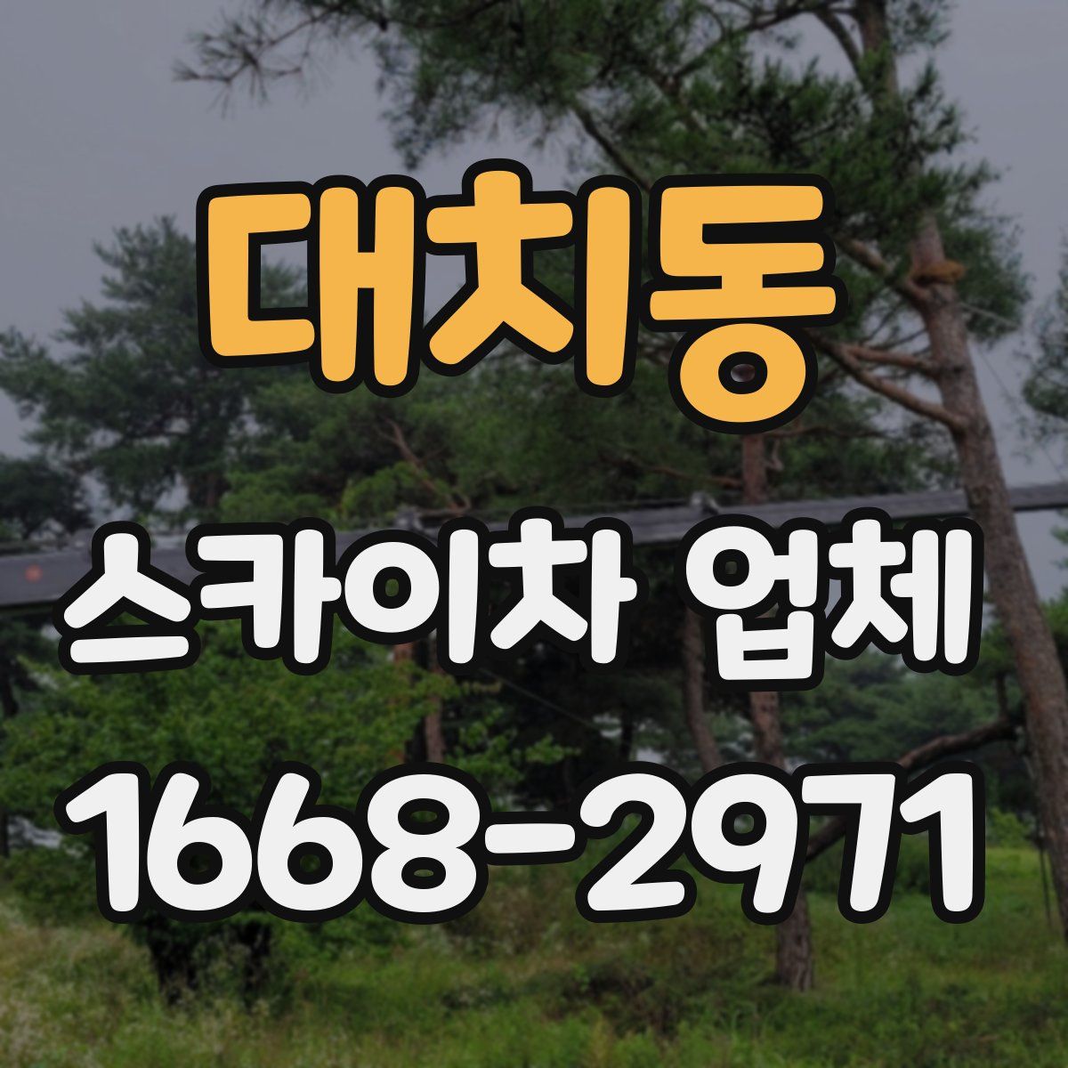 대치동 스카이차 업체