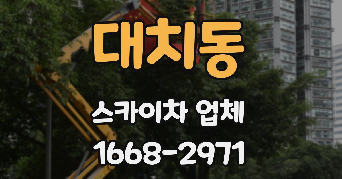 대치동 스카이차 업체