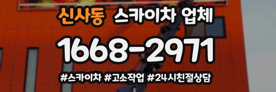 신사동 스카이차 업체