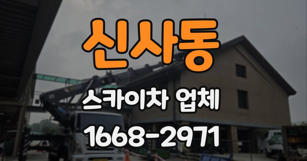 신사동 스카이차 업체