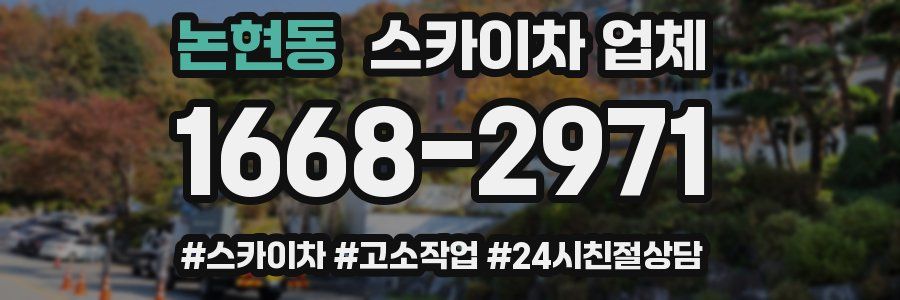 논현동 스카이차 업체