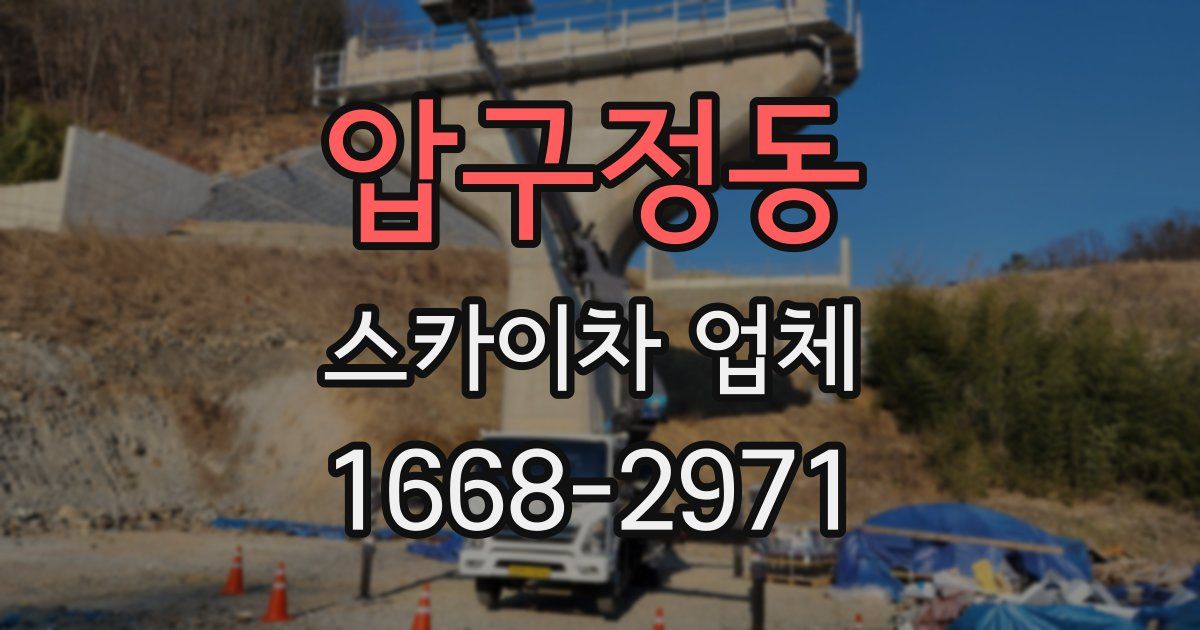 압구정동 스카이차 업체