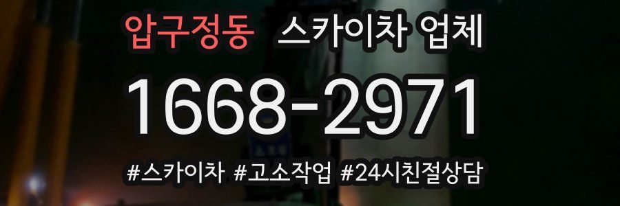 압구정동 스카이차 업체