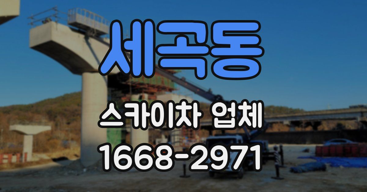 세곡동 스카이차 업체