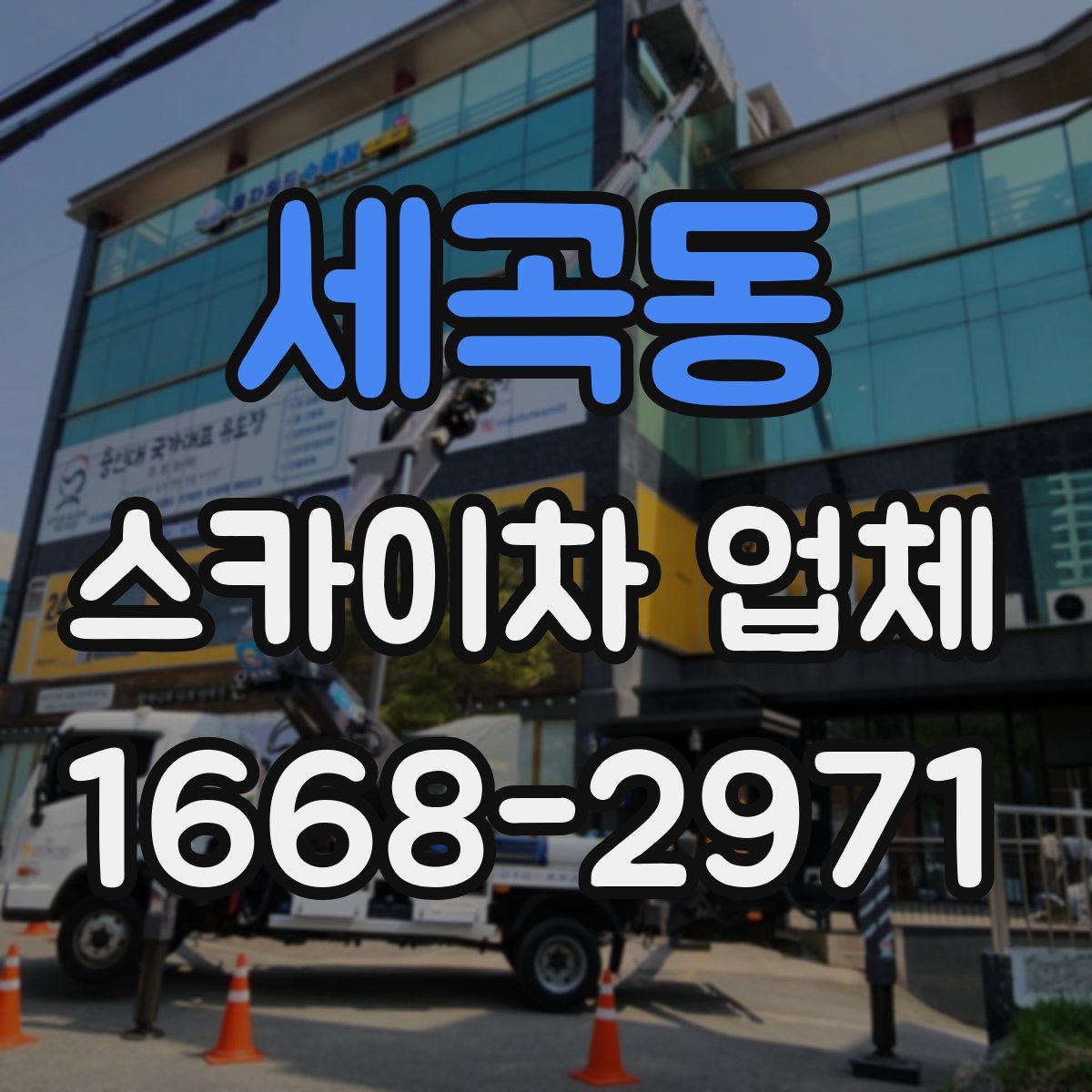 세곡동 스카이차 업체