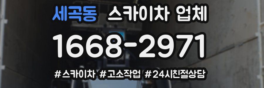 세곡동 스카이차 업체