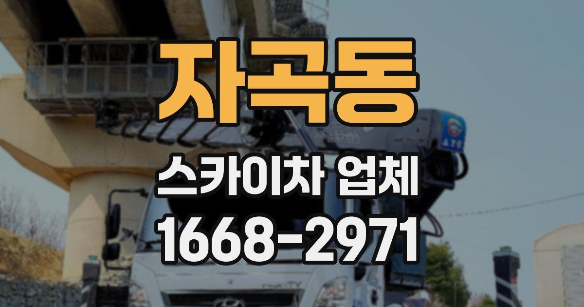 자곡동 스카이차 업체
