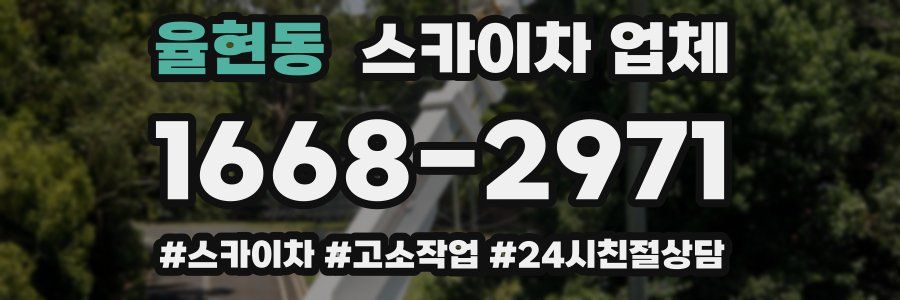 율현동 스카이차 업체