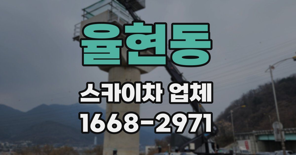 율현동 스카이차 업체