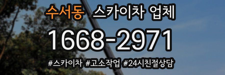 수서동 스카이차 업체