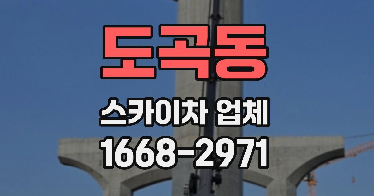 도곡동 스카이차 업체