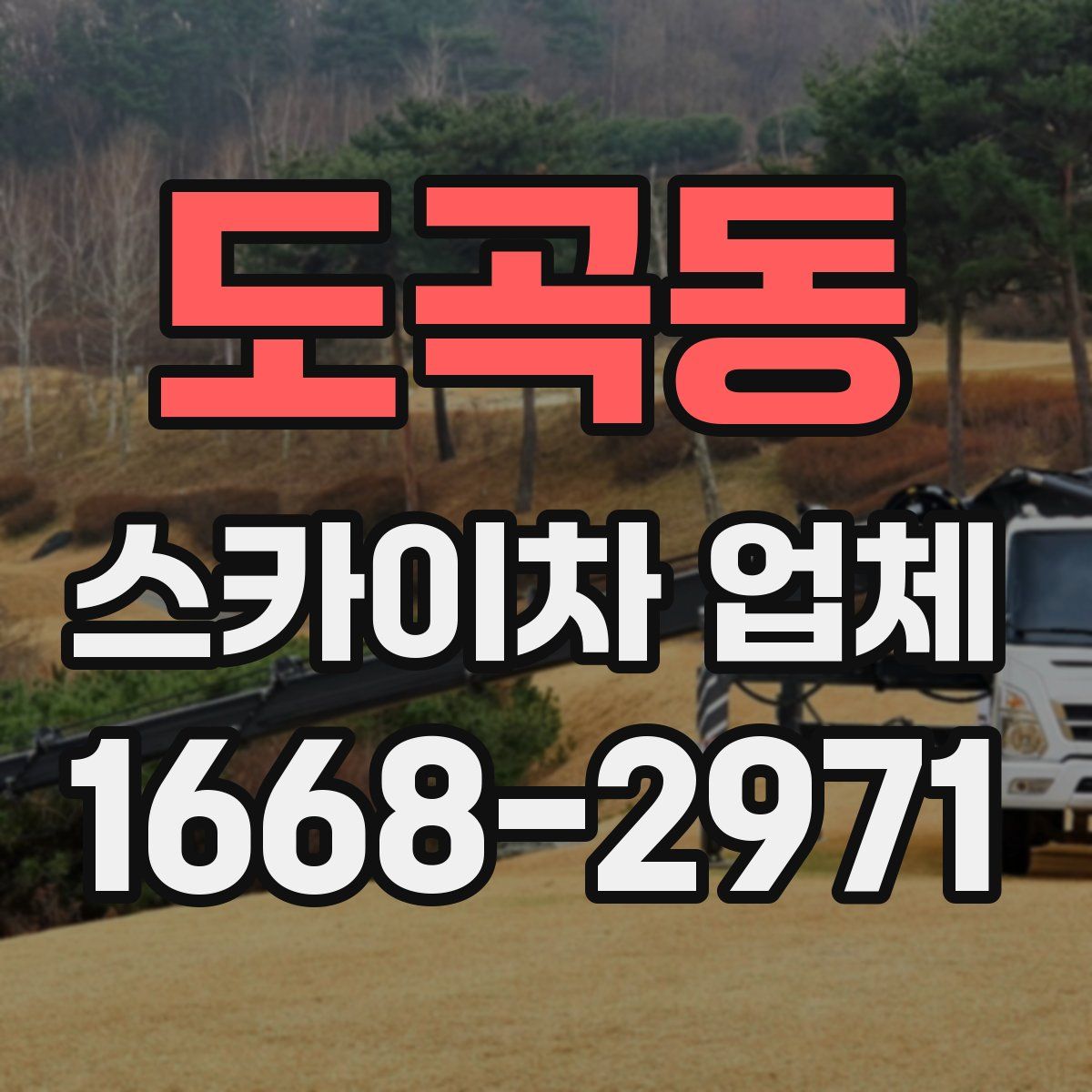 도곡동 스카이차 업체