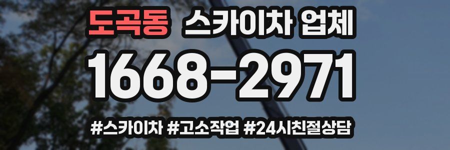 도곡동 스카이차 업체
