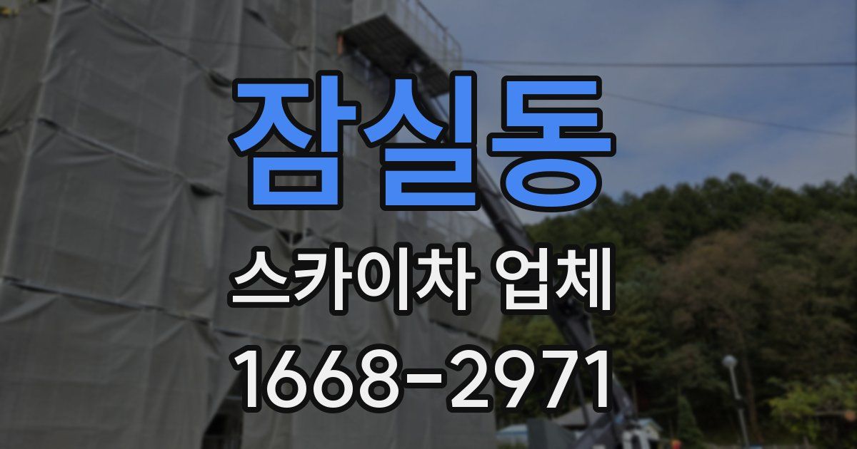 잠실동 스카이차 업체