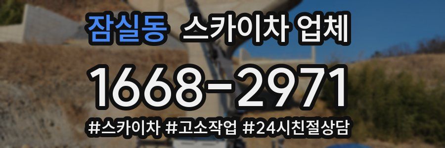 잠실동 스카이차 업체