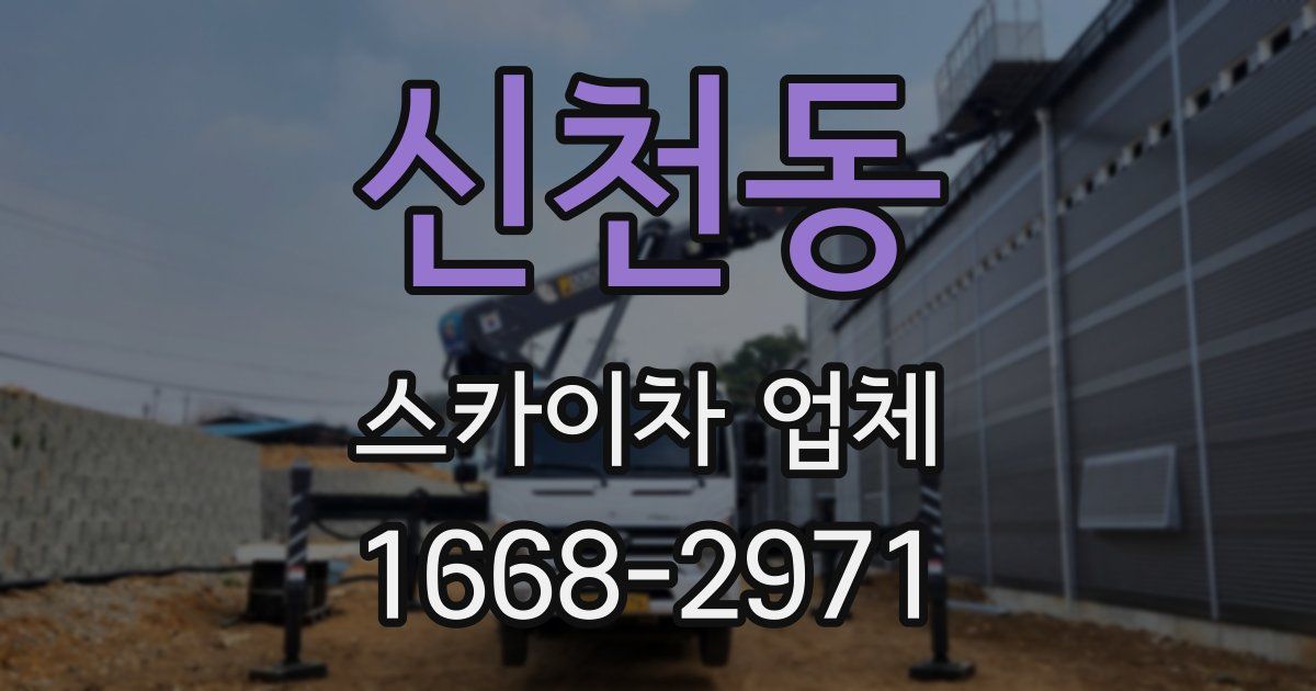 신천동 스카이차 업체