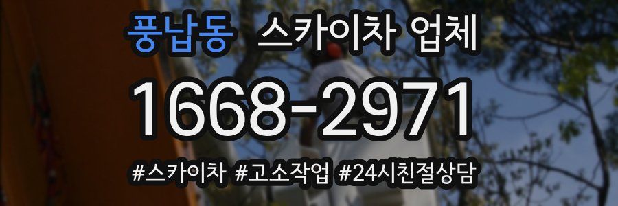 풍납동 스카이차 업체