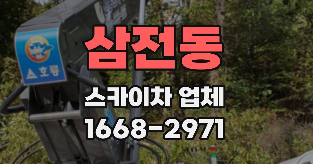 삼전동 스카이차 업체