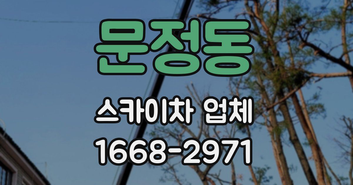 문정동 스카이차 업체