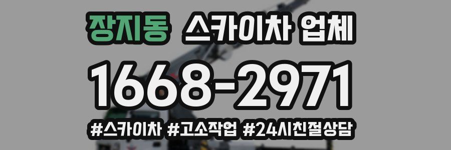 장지동 스카이차 업체