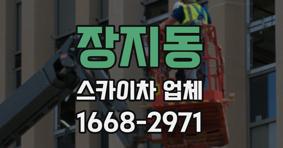 장지동 스카이차 업체