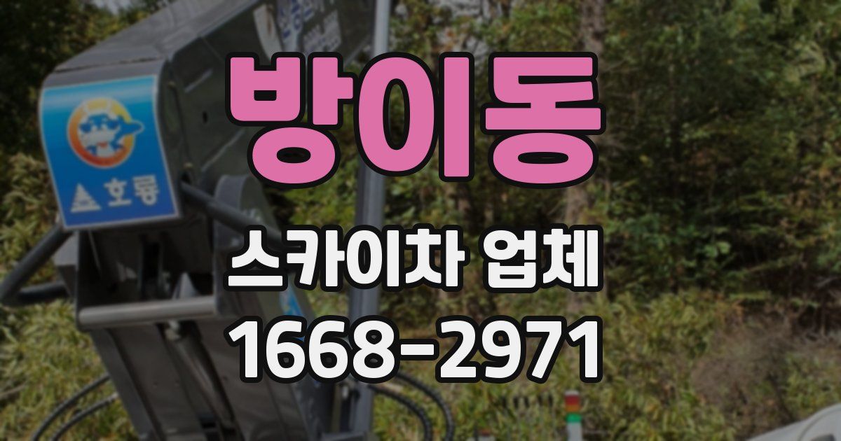 방이동 스카이차 업체