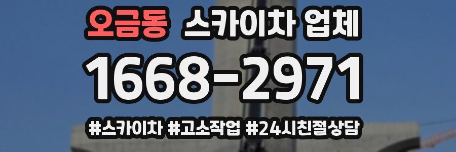 오금동 스카이차 업체