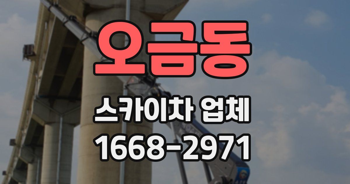 오금동 스카이차 업체