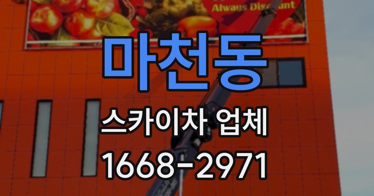 마천동 스카이차 업체