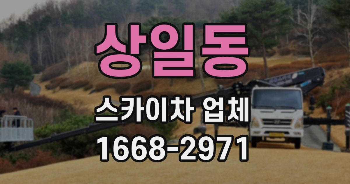 상일동 스카이차 업체