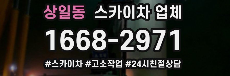 상일동 스카이차 업체