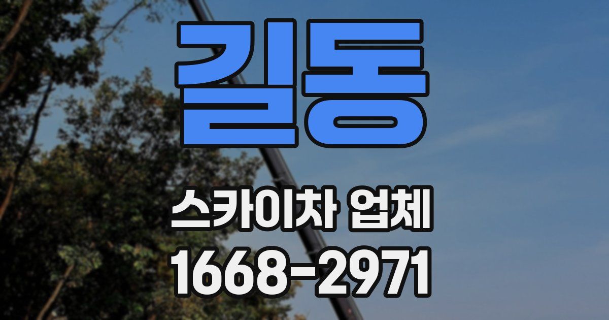 길동 스카이차 업체
