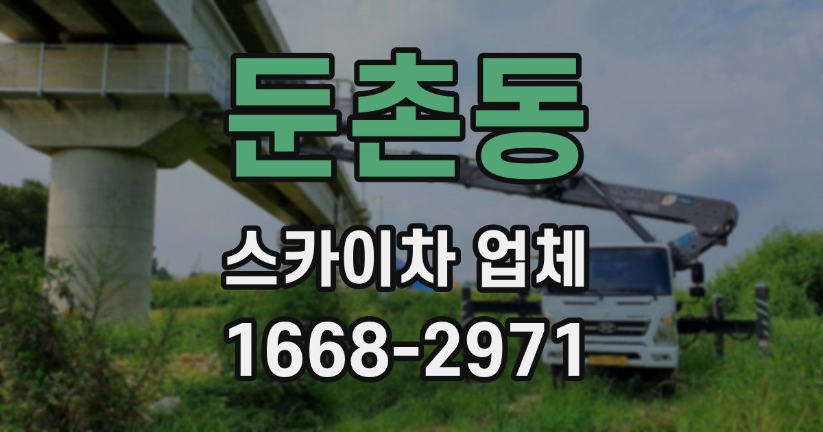 둔촌동 스카이차 업체