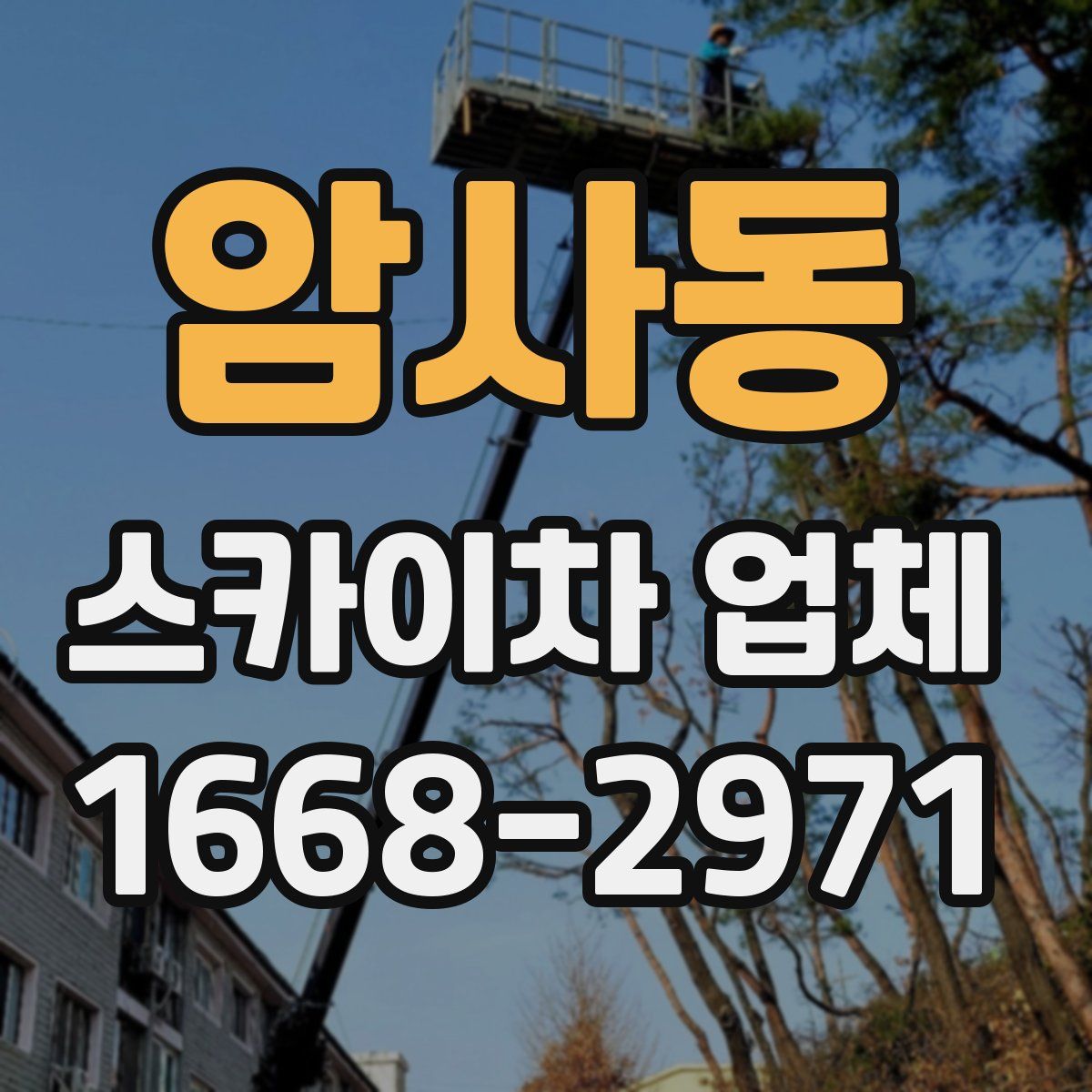 암사동 스카이차 업체